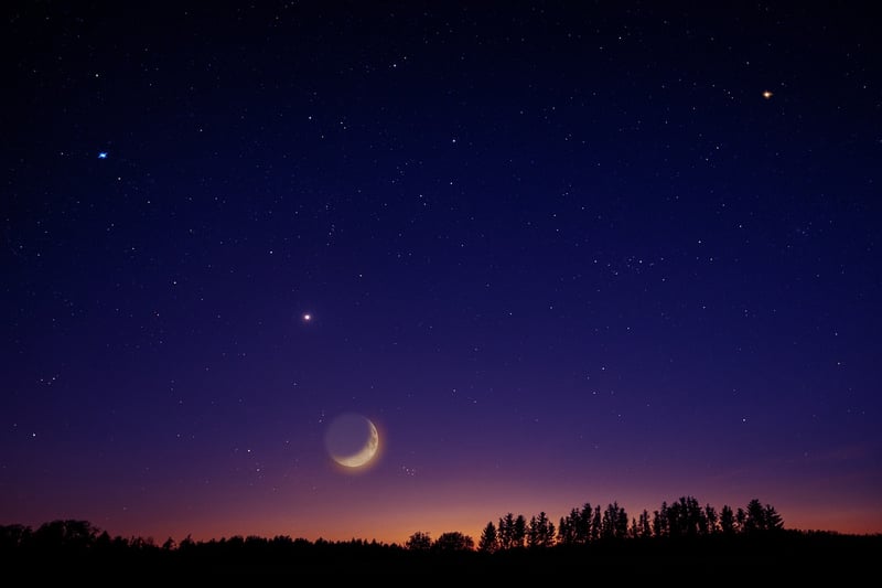Moonlit Ceremony